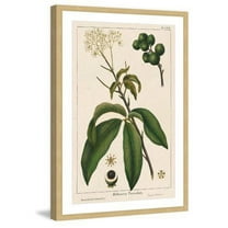 Marmont Hill "Honeyberry" Framed Painting Print