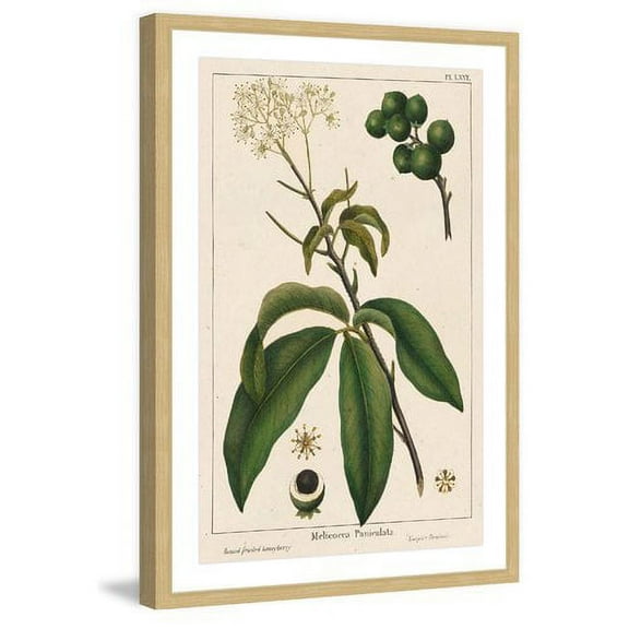 Marmont Hill "Honeyberry" Framed Painting Print