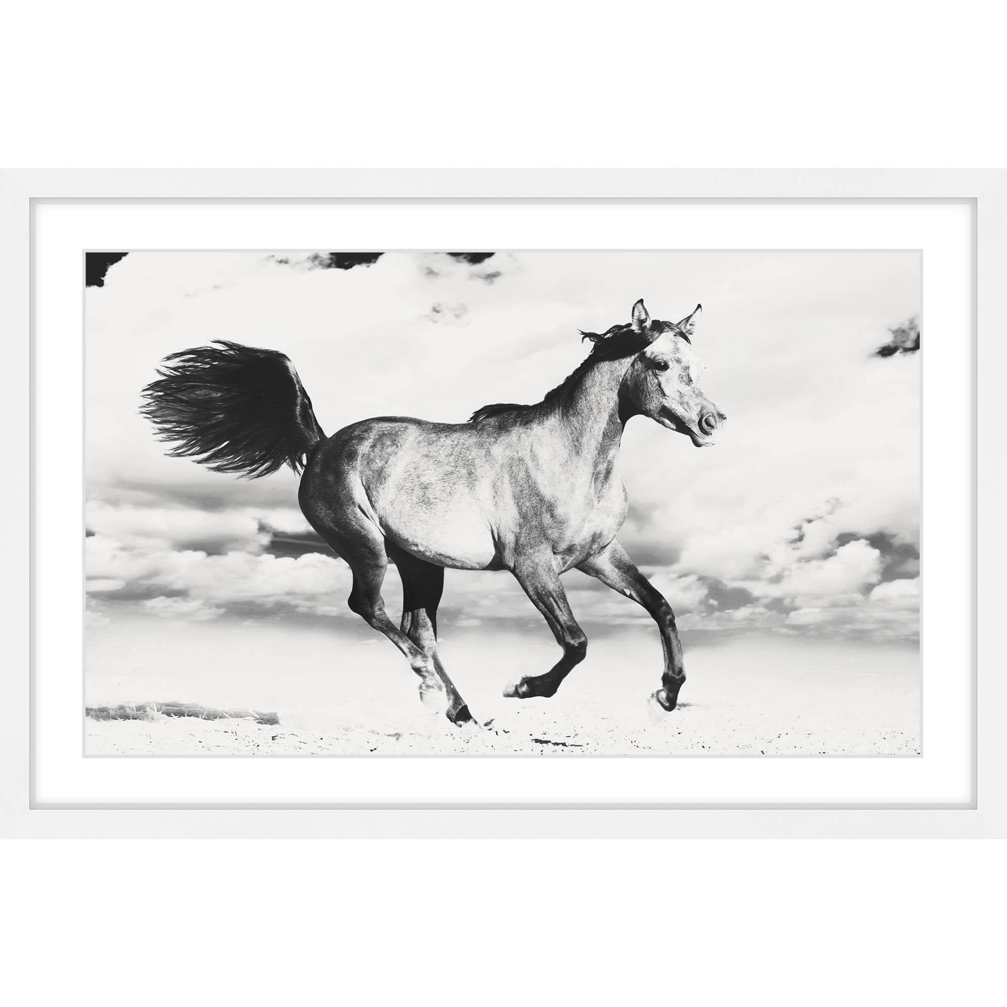 Marmont Hill "Horse Dance" Framed Painting Print