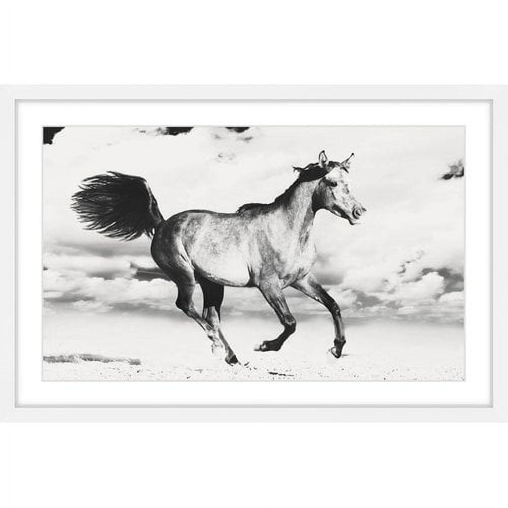 White Framed Black and White Horse Canvas Print, 18" x 12"