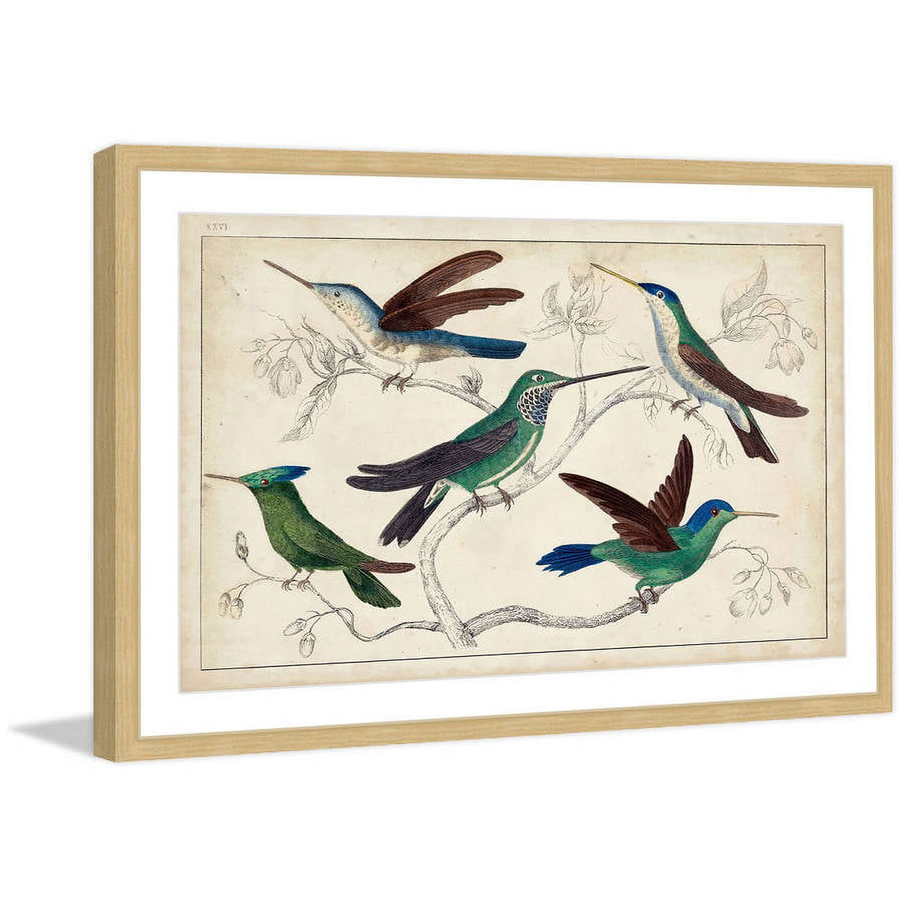 Marmont Hill "Hummingbirds" Framed Painting Print