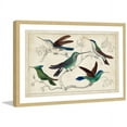 thumbnail image 1 of Marmont Hill "Hummingbirds" Framed Painting Print, 1 of 5