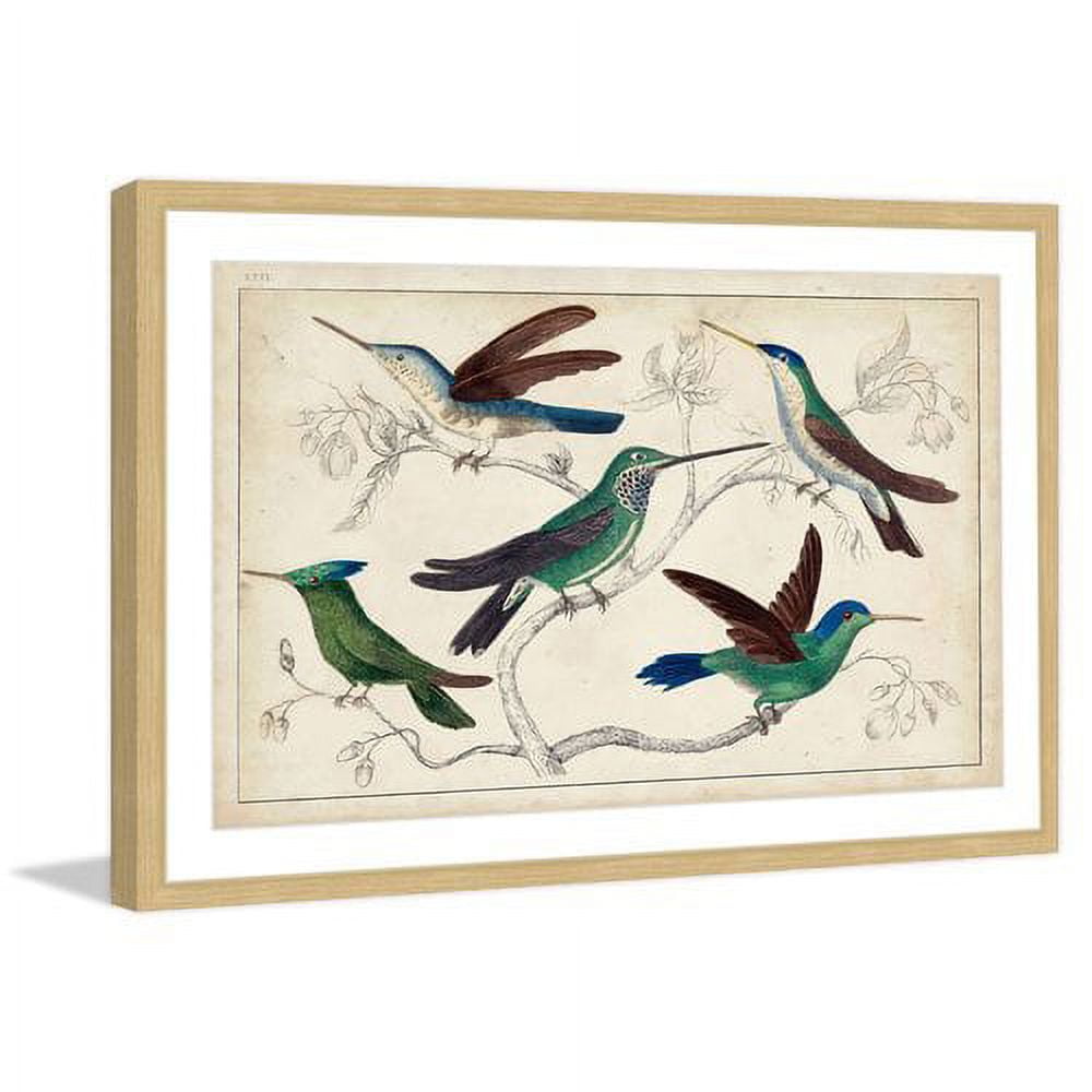 Marmont Hill "Hummingbirds" Framed Painting Print