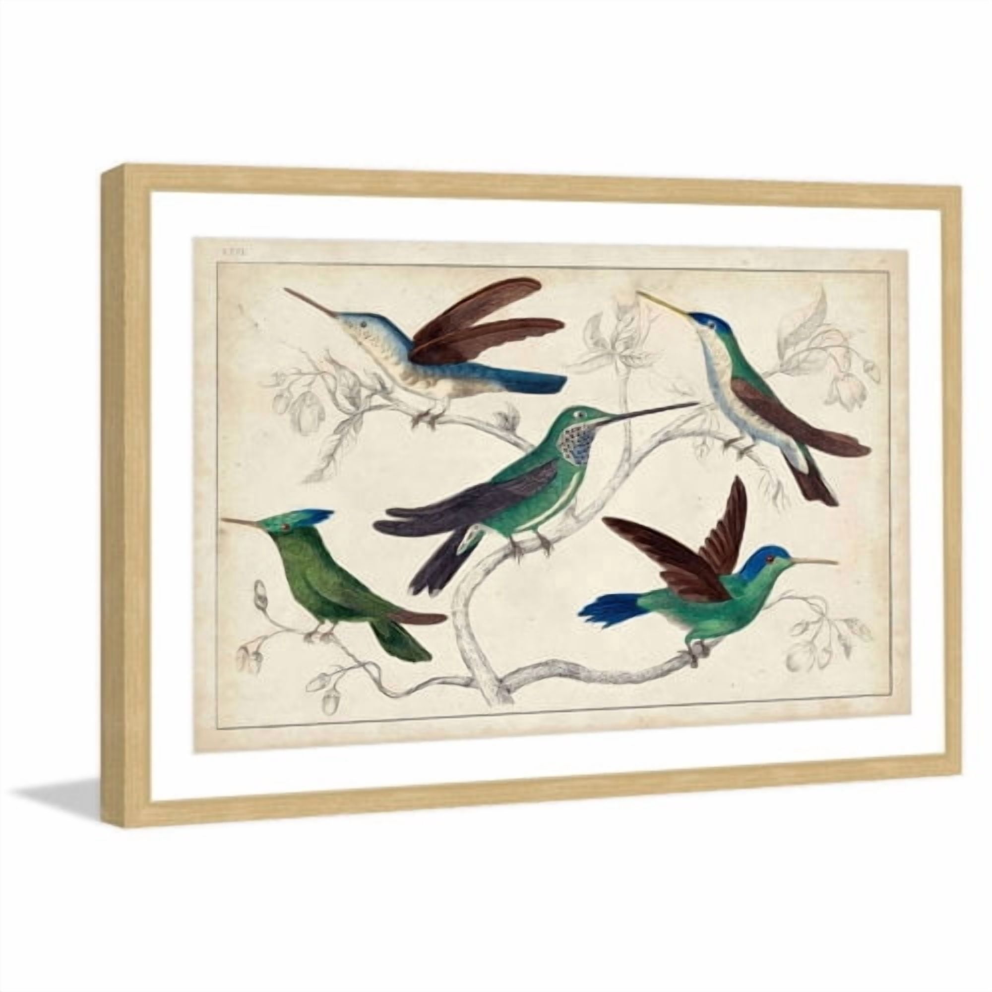 Marmont Hill "Hummingbirds" Framed Painting Print