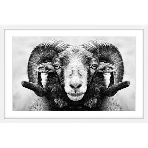 Marmont Hill "I Dare You Ram" Framed Painting Print