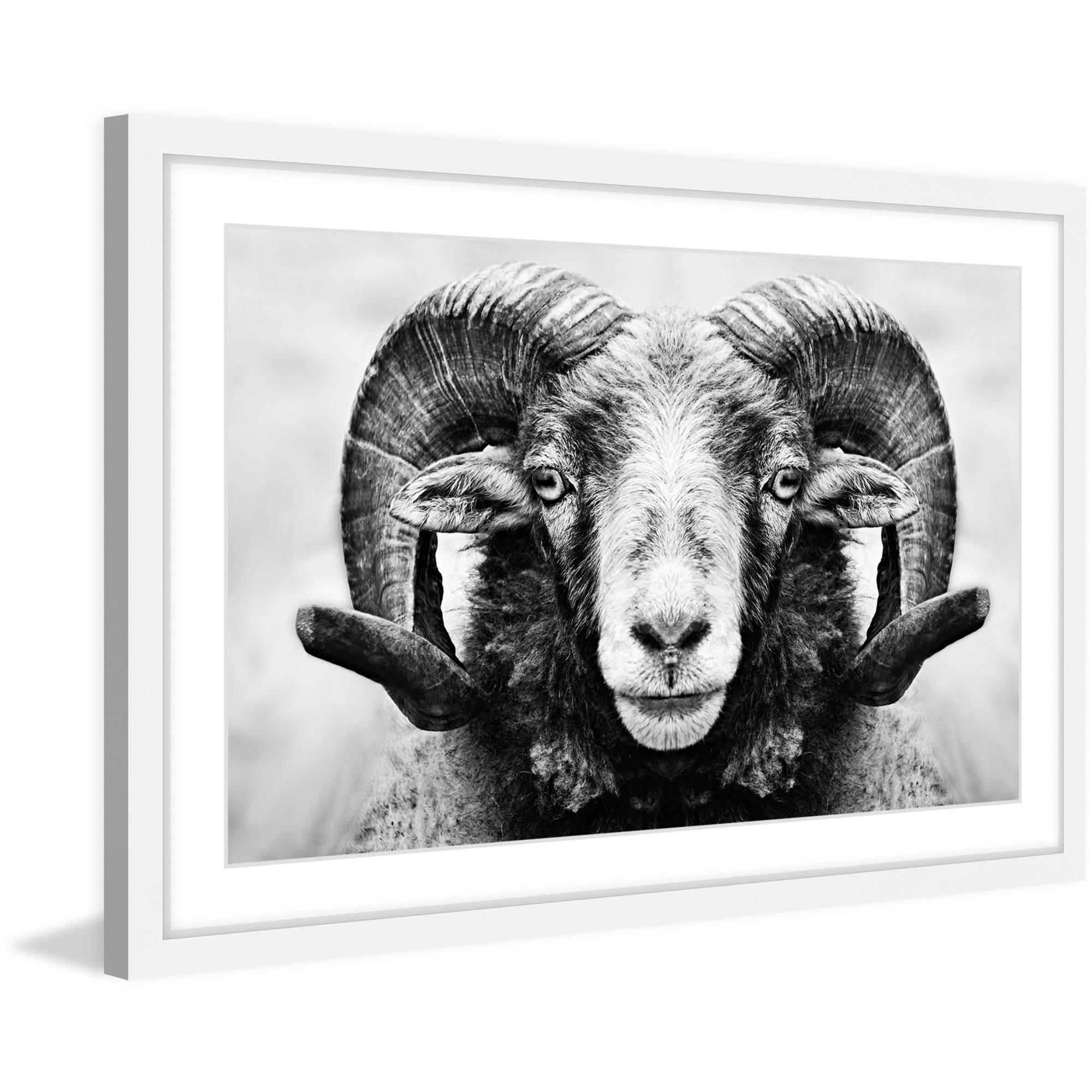Marmont Hill "I Dare You Ram" Framed Painting Print