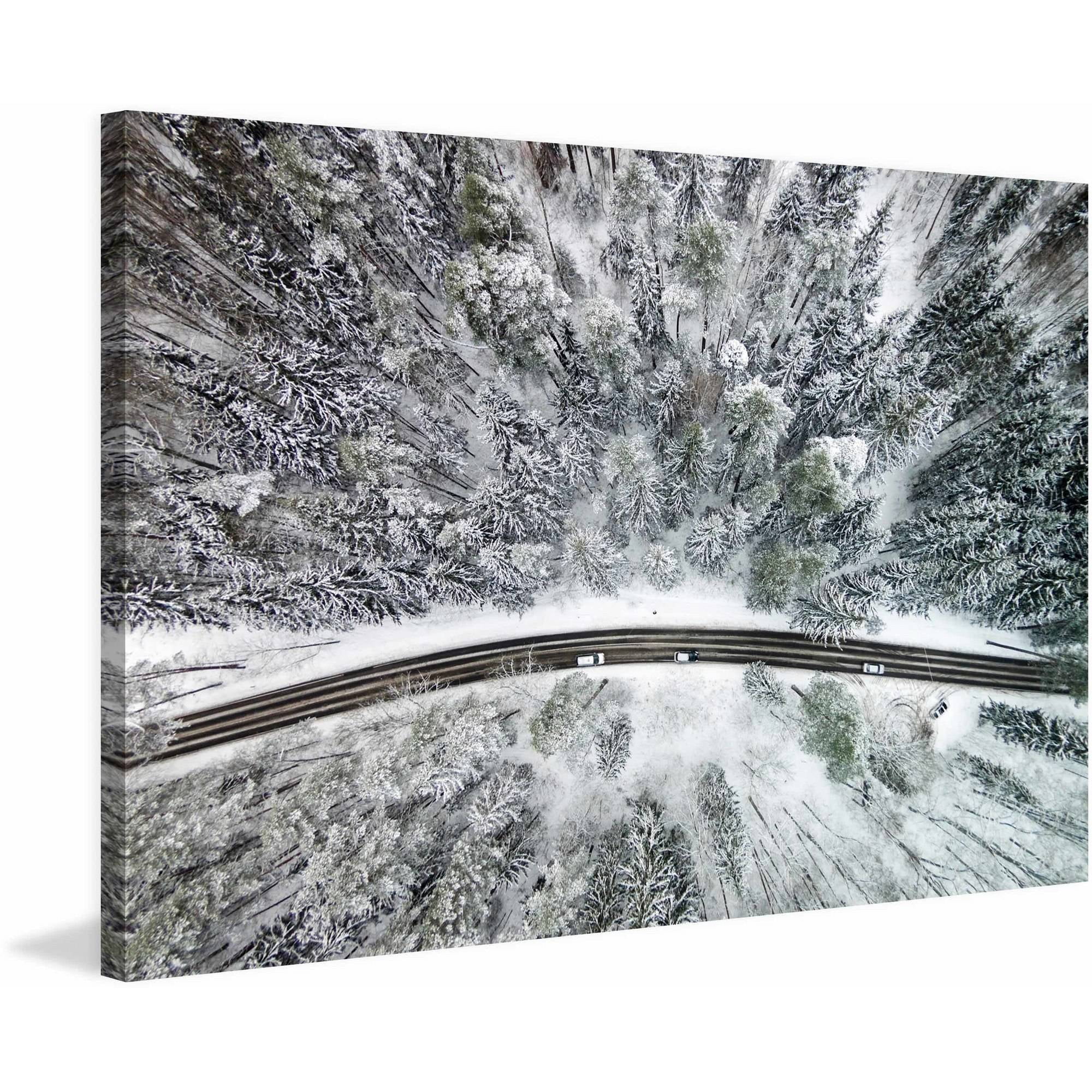 Marmont Hill "Icy Firs" by Karolis Janulis Painting Print on Wrapped Canvas