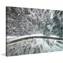 Marmont Hill "Icy Firs" by Karolis Janulis Painting Print on Wrapped Canvas