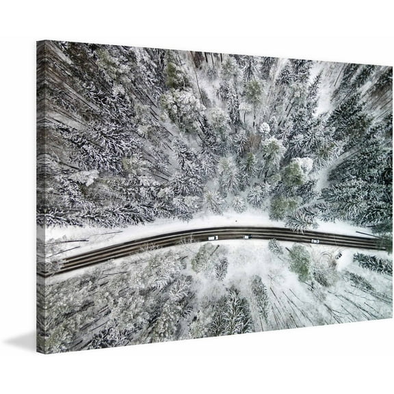 Marmont Hill "Icy Firs" by Karolis Janulis Painting Print on Wrapped Canvas