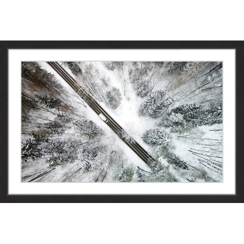 Marmont Hill 'Icy Forest' Framed Photographic Print