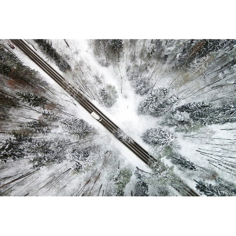 Marmont Hill "Icy Forest" by Karolis Janulis Painting Print on Wrapped Canvas