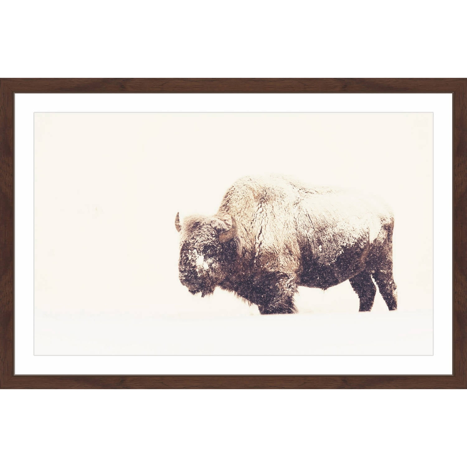 Marmont Hill "Icy Fur 2" Framed Painting Print