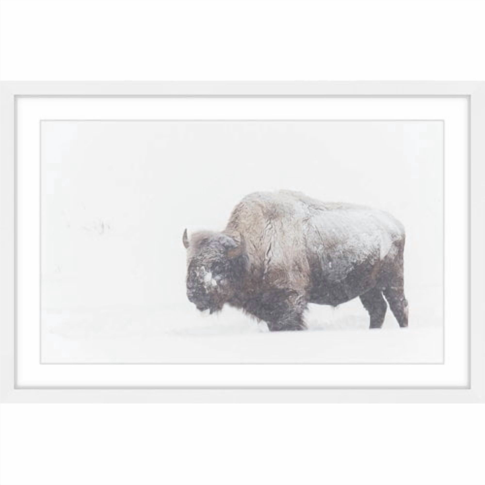 Marmont Hill "Icy Fur" Framed Painting Print
