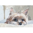 thumbnail image 1 of Marmont Hill In the Couch Canvas Wall Art, 1 of 7