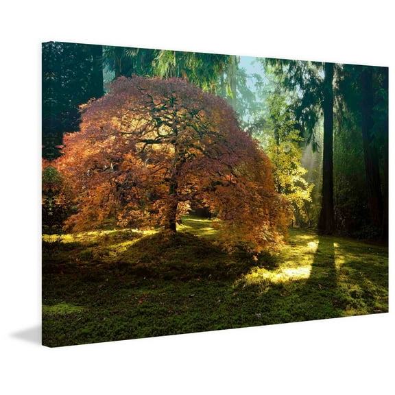 Marmont Hill "In the Gentle Autumn Light" Painting Print on Canvas