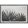 thumbnail image 1 of Marmont Hill Inc. 'Blue Agave' Framed Painting Print 30 x 20, 1 of 4