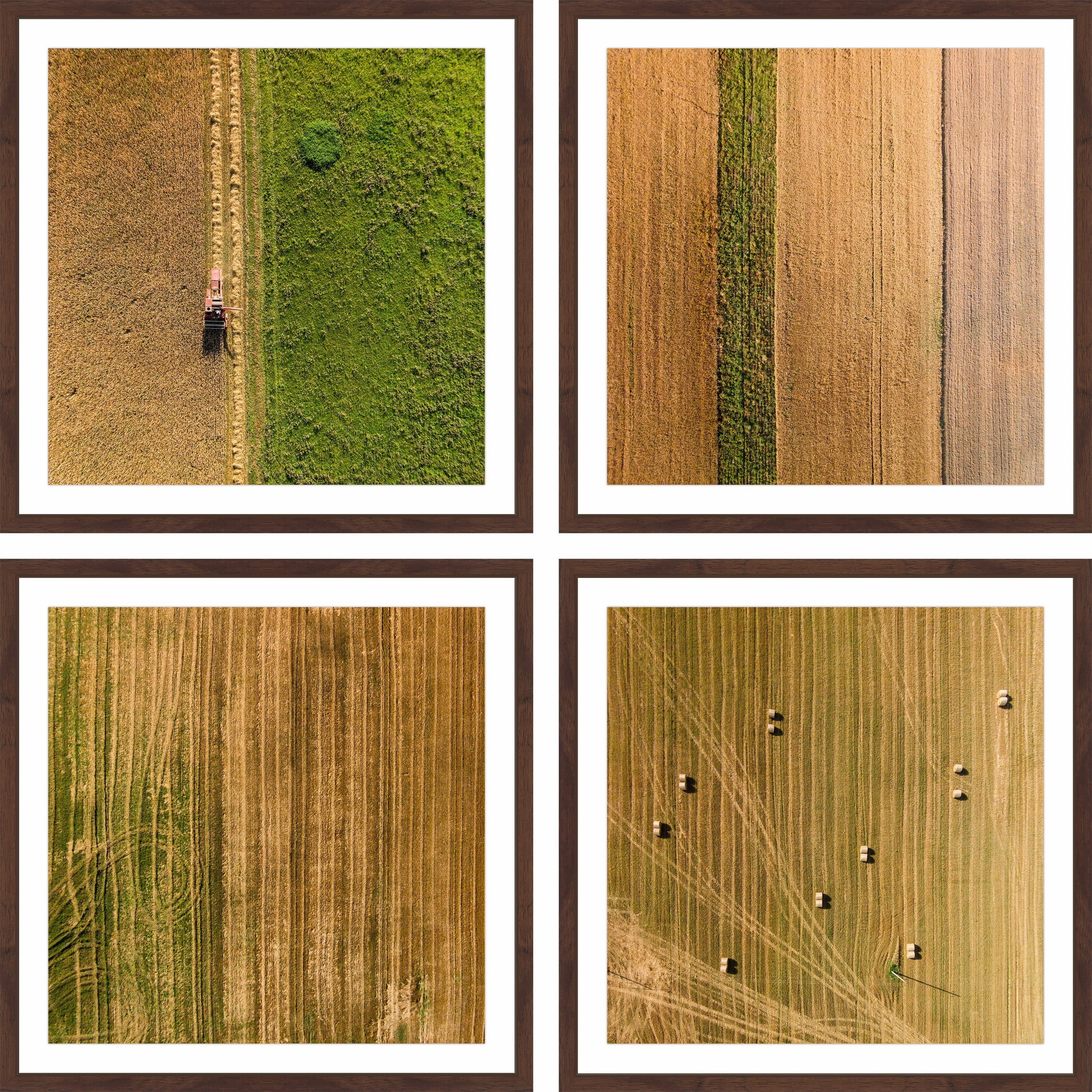Marmont Hill Inc Farming Quadriptych - Multi