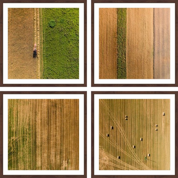 Marmont Hill Inc Farming Quadriptych - Multi