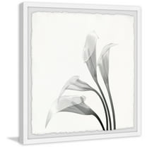 Marmont Hill Inc. 'Flower From the Sky' Framed Painting Print 18 x 18