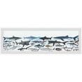 thumbnail image 1 of Marmont Hill Inc. 'Ocean Predators of the World' Framed Painting Print 45 x 15, 1 of 5