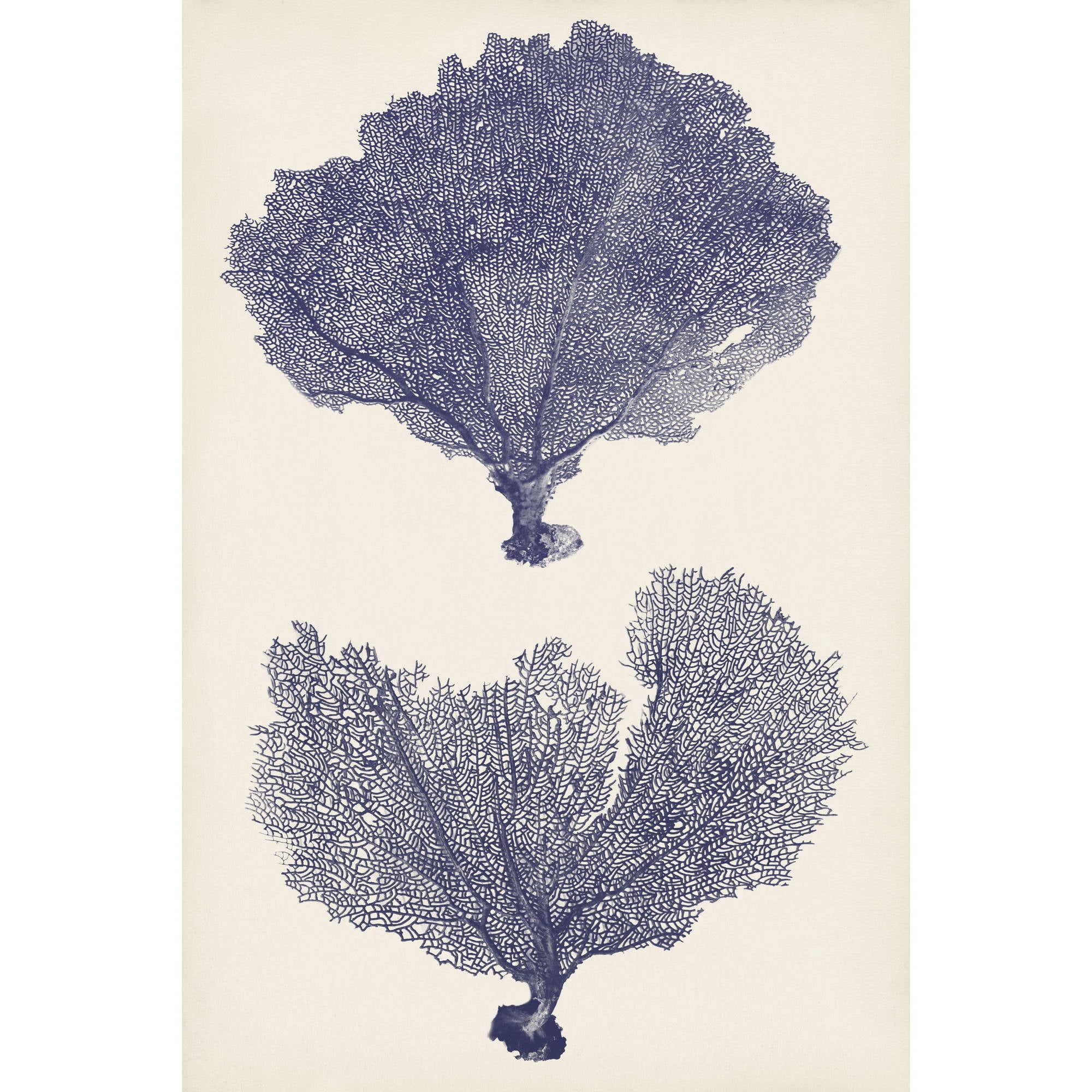 Marmont Hill "Indigo Seafans II" Painting Print on Wrapped Canvas