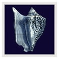 thumbnail image 1 of Marmont Hill "Indigo Shell I" Framed Painting Print, 1 of 6