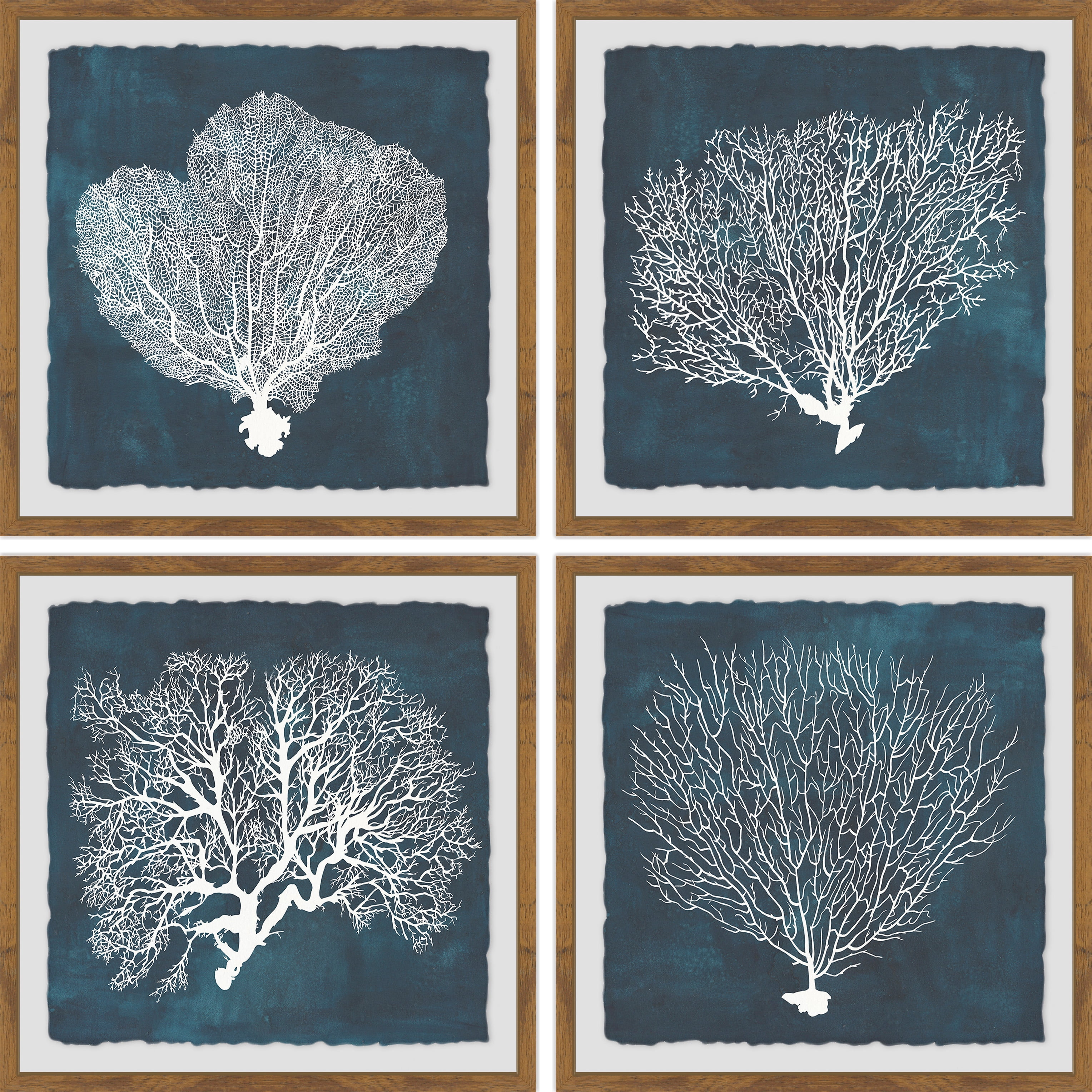 Marmont Hill Inverse Sea Fan V Quadriptych, 24" x 24"