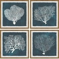 thumbnail image 1 of Marmont Hill Inverse Sea Fan V Quadriptych, 24" x 24", 1 of 6