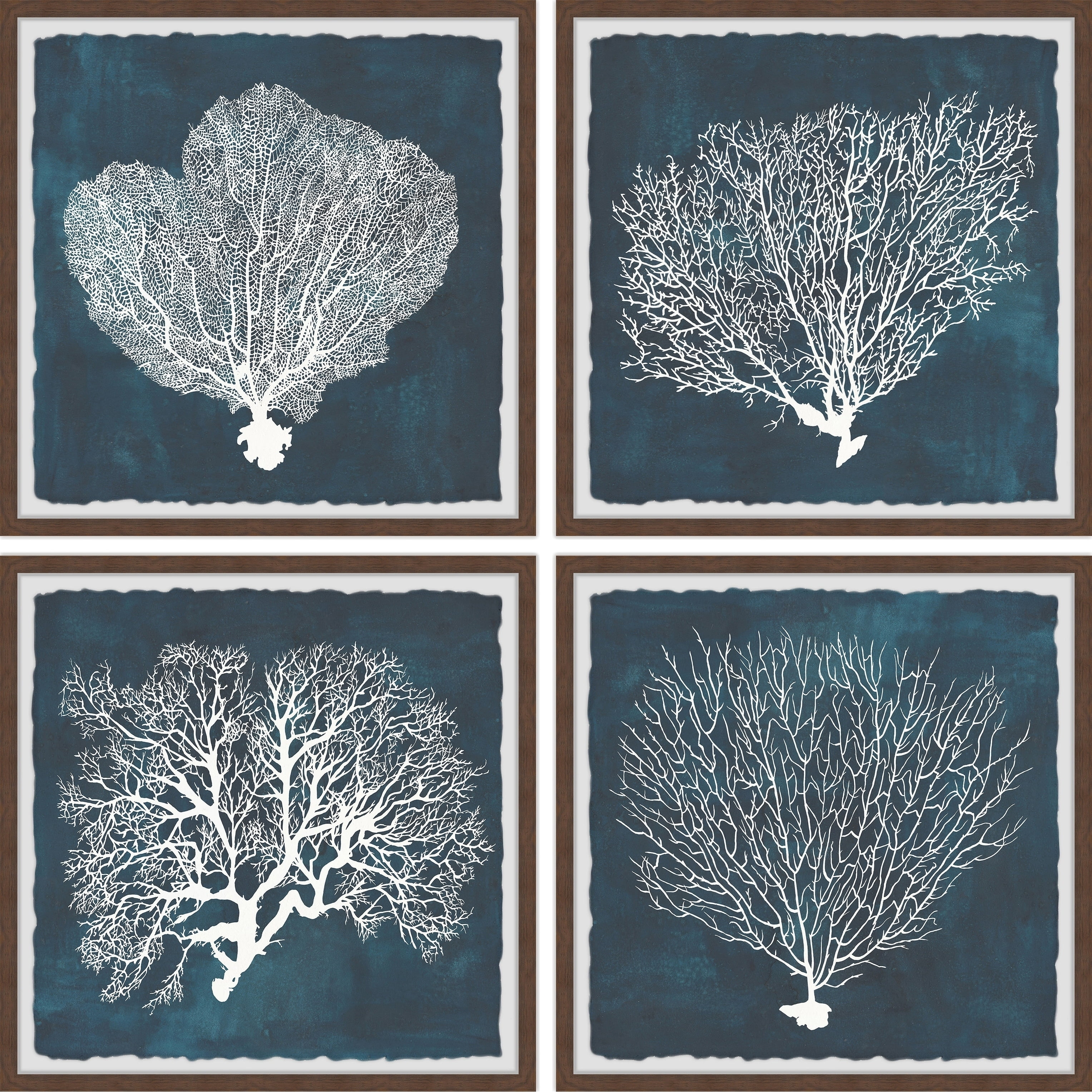 Marmont Hill Inverse Sea Fan V Quadriptych