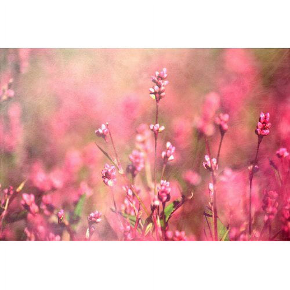 Marmont Hill "It's a Sweet Sweet Life" by Robert Dickinson Painting Print on Canvas