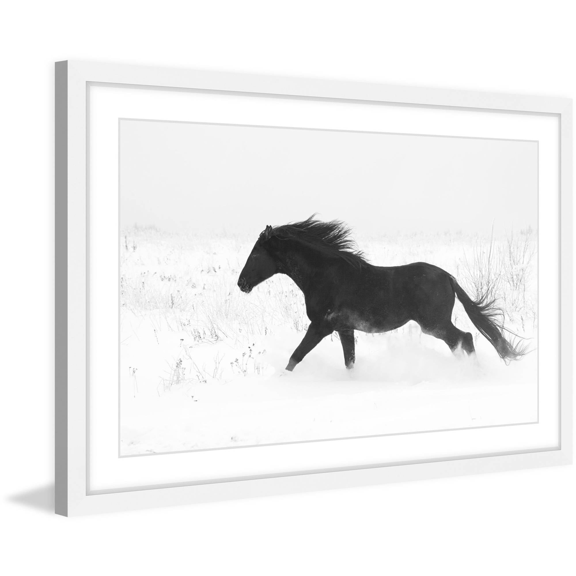 Marmont Hill "Jet Black" Framed Painting Print