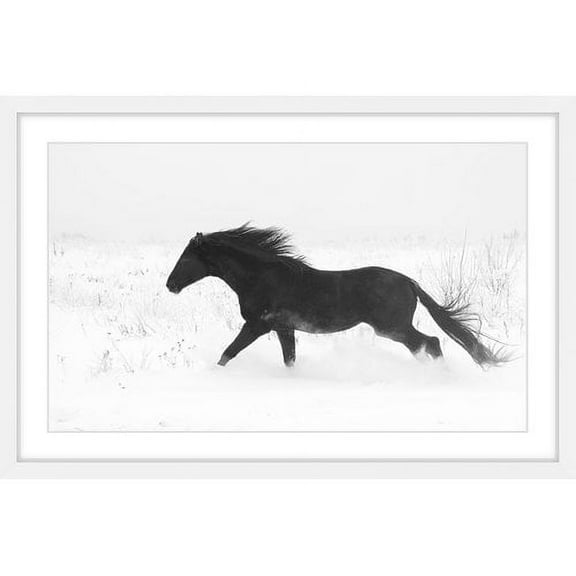 Marmont Hill "Jet Black" Framed Painting Print