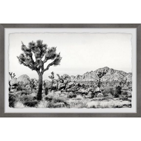 Marmont Hill Joshua Tree National Park Framed Wall Art, 12" x 18"