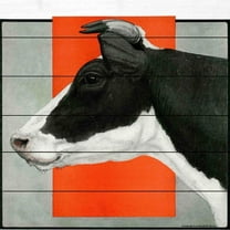 Marmont Hill "Journal Cow BW" Painting Print on White Wood