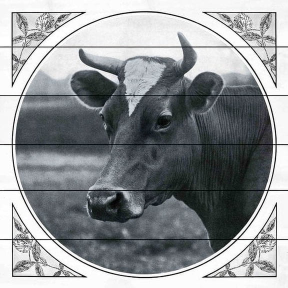 Marmont Hill "Journal Cow" Painting Print on White Wood