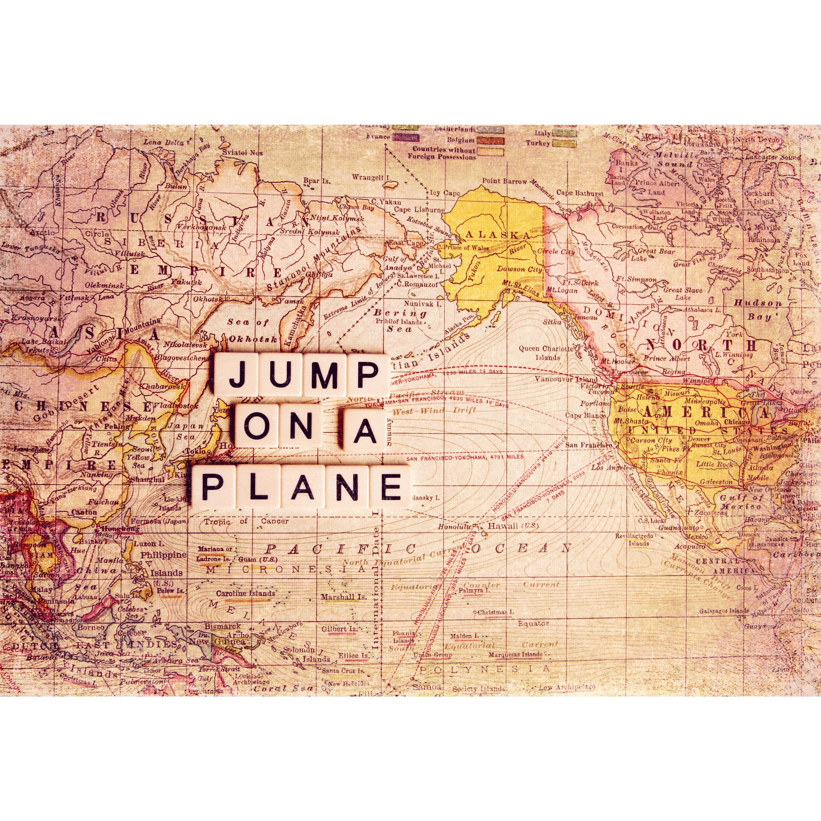 Marmont Hill "Jump on a Plane" Sylvia Cook Painting Print on Canvas