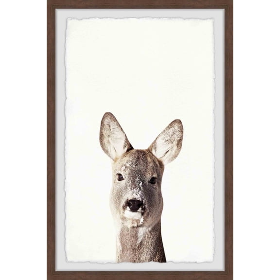 Marmont Hill Kangaroo Close-up Framed Wall Art