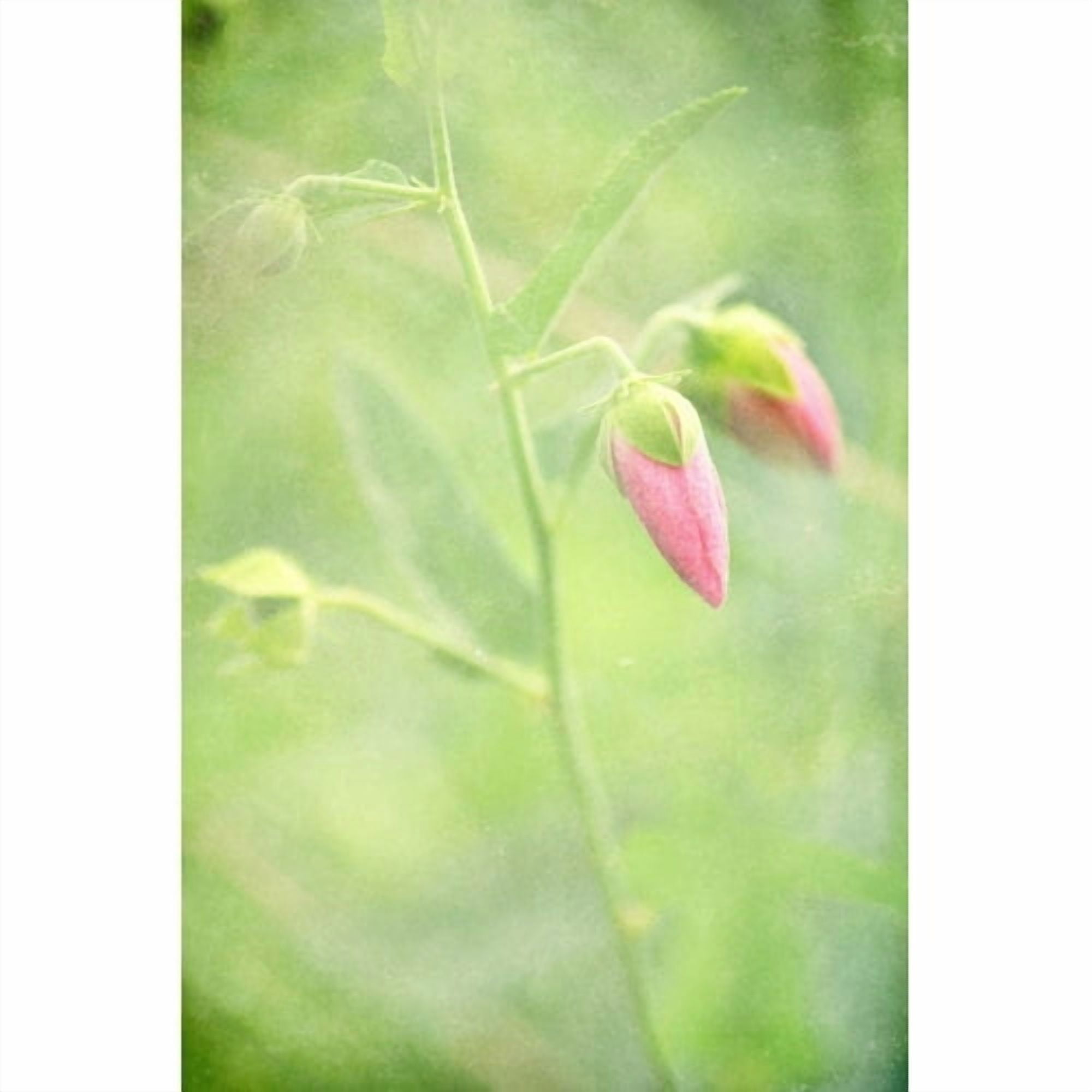 Marmont Hill "Keep Love in Your Heart" by Robert Dickinson Painting Print on Canvas