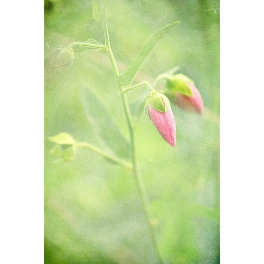 Marmont Hill "Keep Love in Your Heart" by Robert Dickinson Painting Print on Canvas