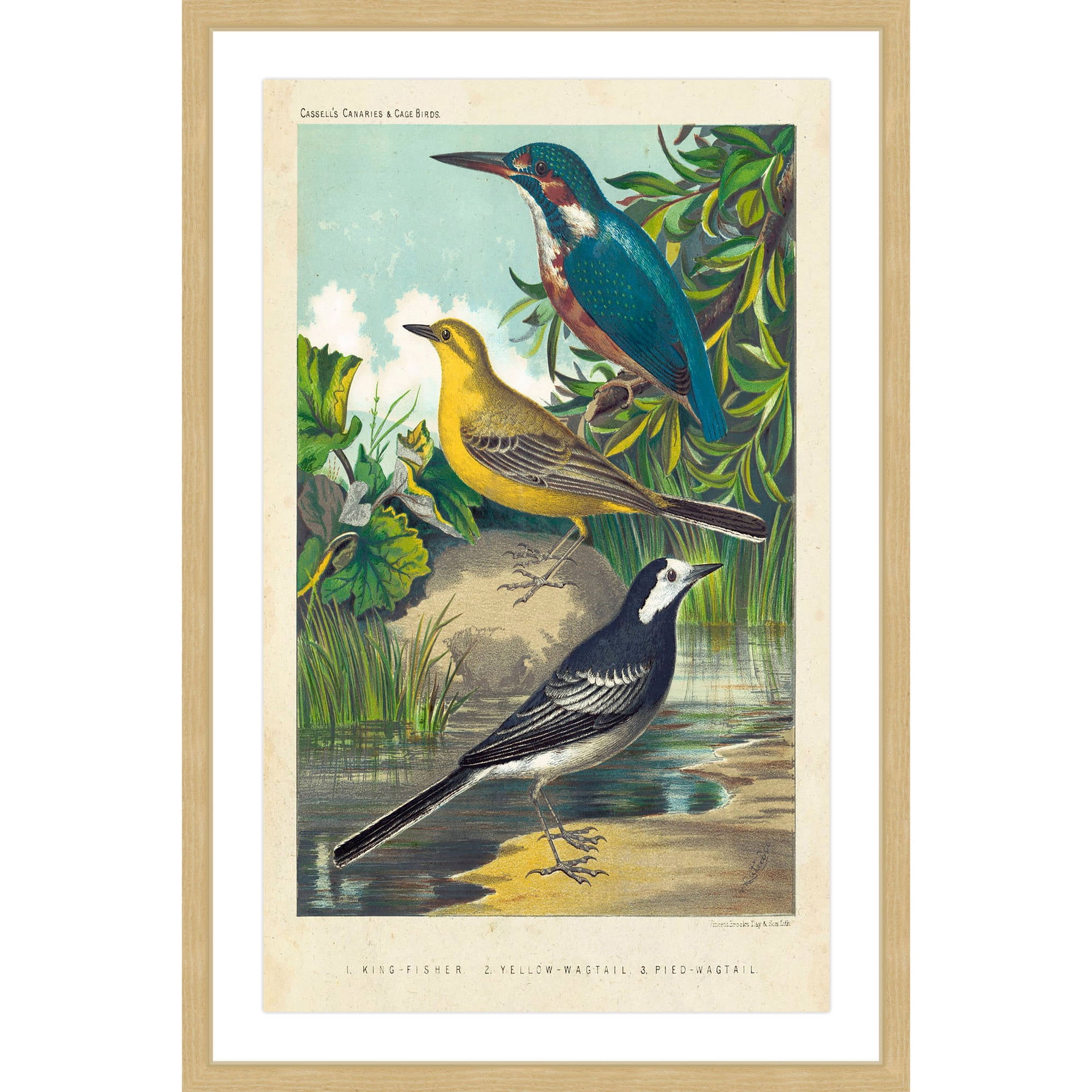 Marmont Hill "Kingfisher & Wagtail" Framed Painting Print