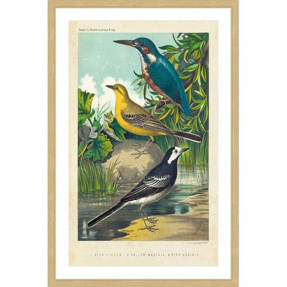 Marmont Hill "Kingfisher & Wagtail" Framed Painting Print