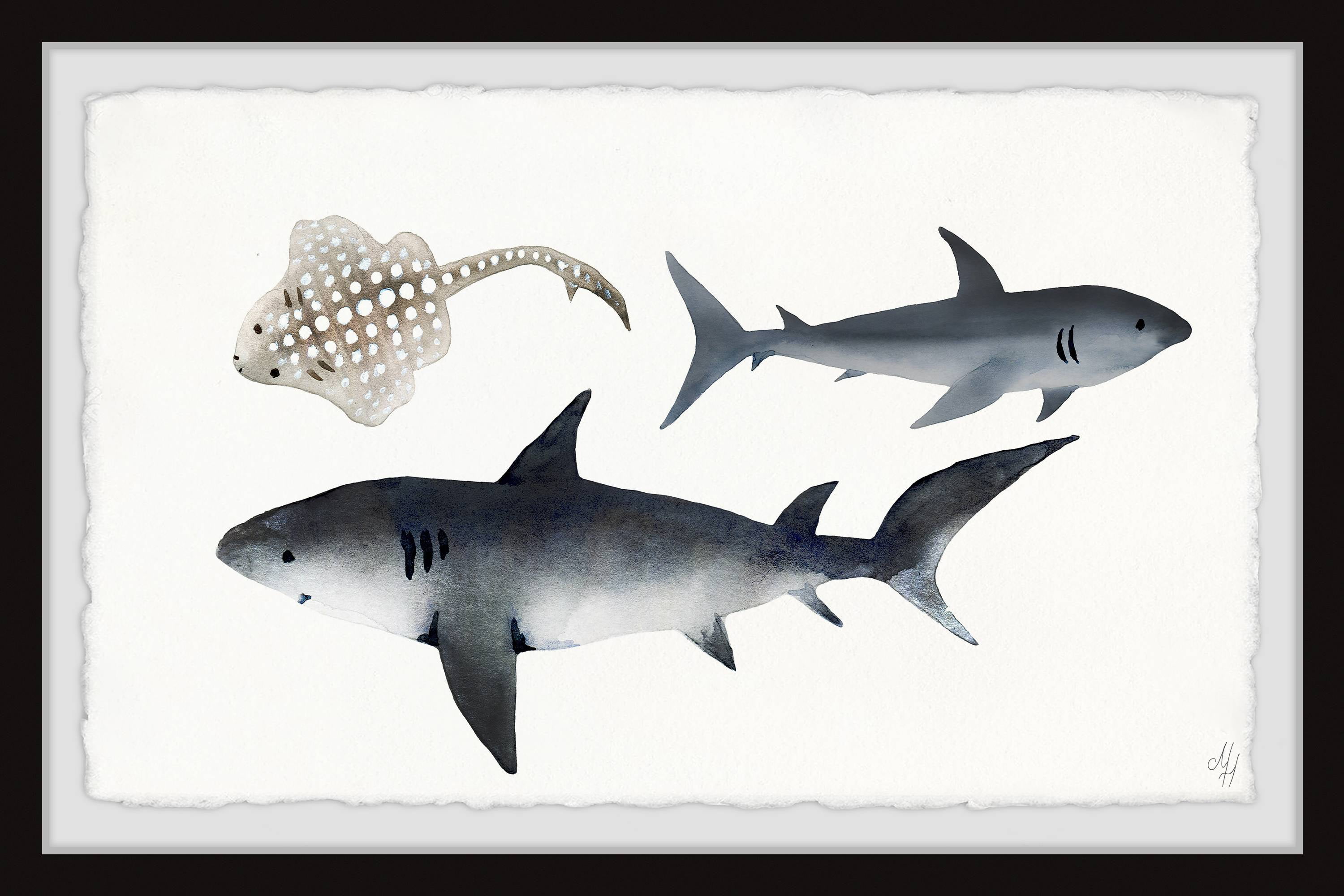 Marmont Hill Kings Of The Sea Framed Wall Art, 18.00" x 1.50"