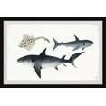 thumbnail image 1 of Marmont Hill Kings Of The Sea Framed Wall Art, 30.00" x 1.50", 1 of 6