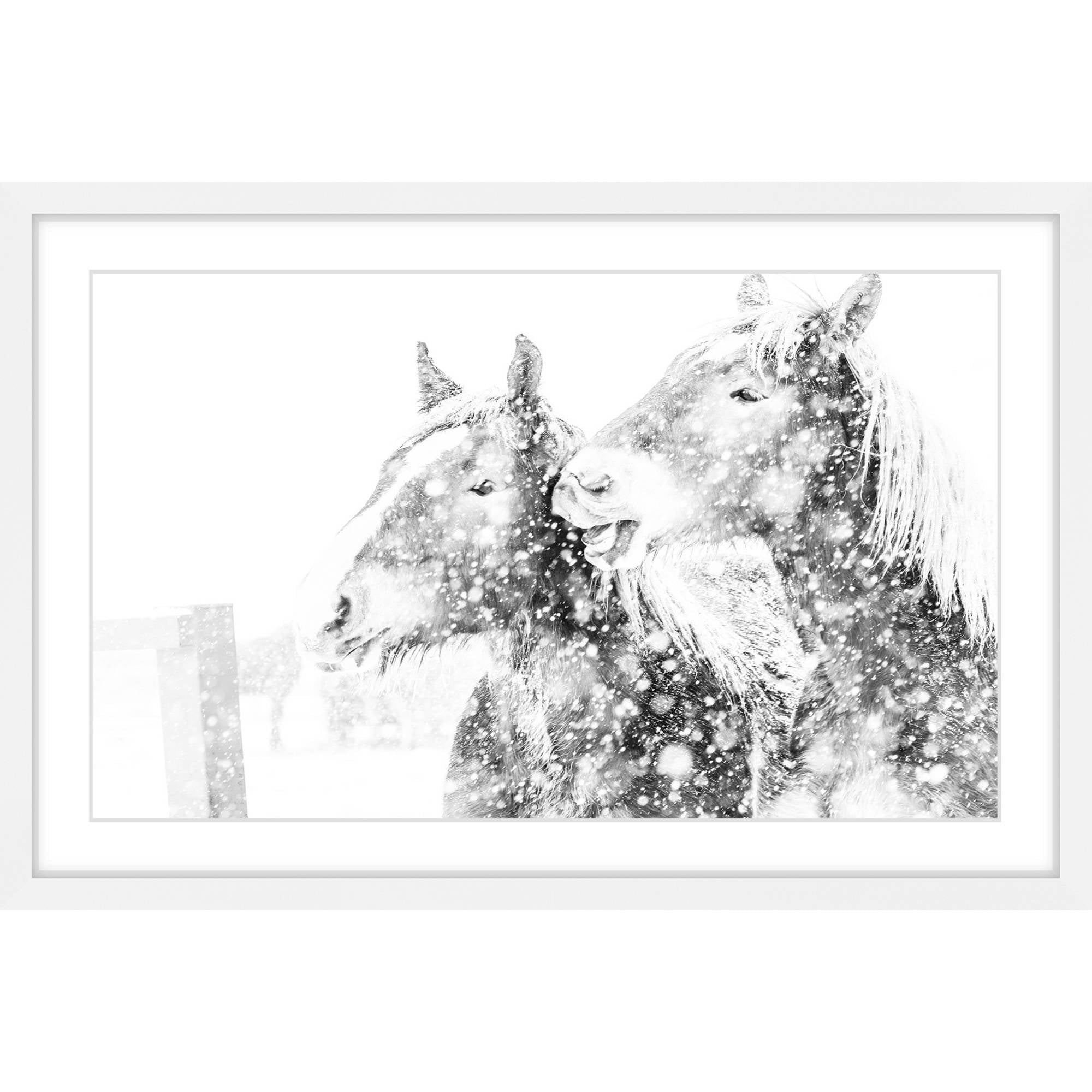 Marmont Hill "Laughing Equus" Framed Painting Print