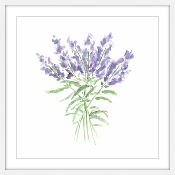 Marmont Hill "Lavender Herbs" by Thimble Sparrow Framed Painting Print