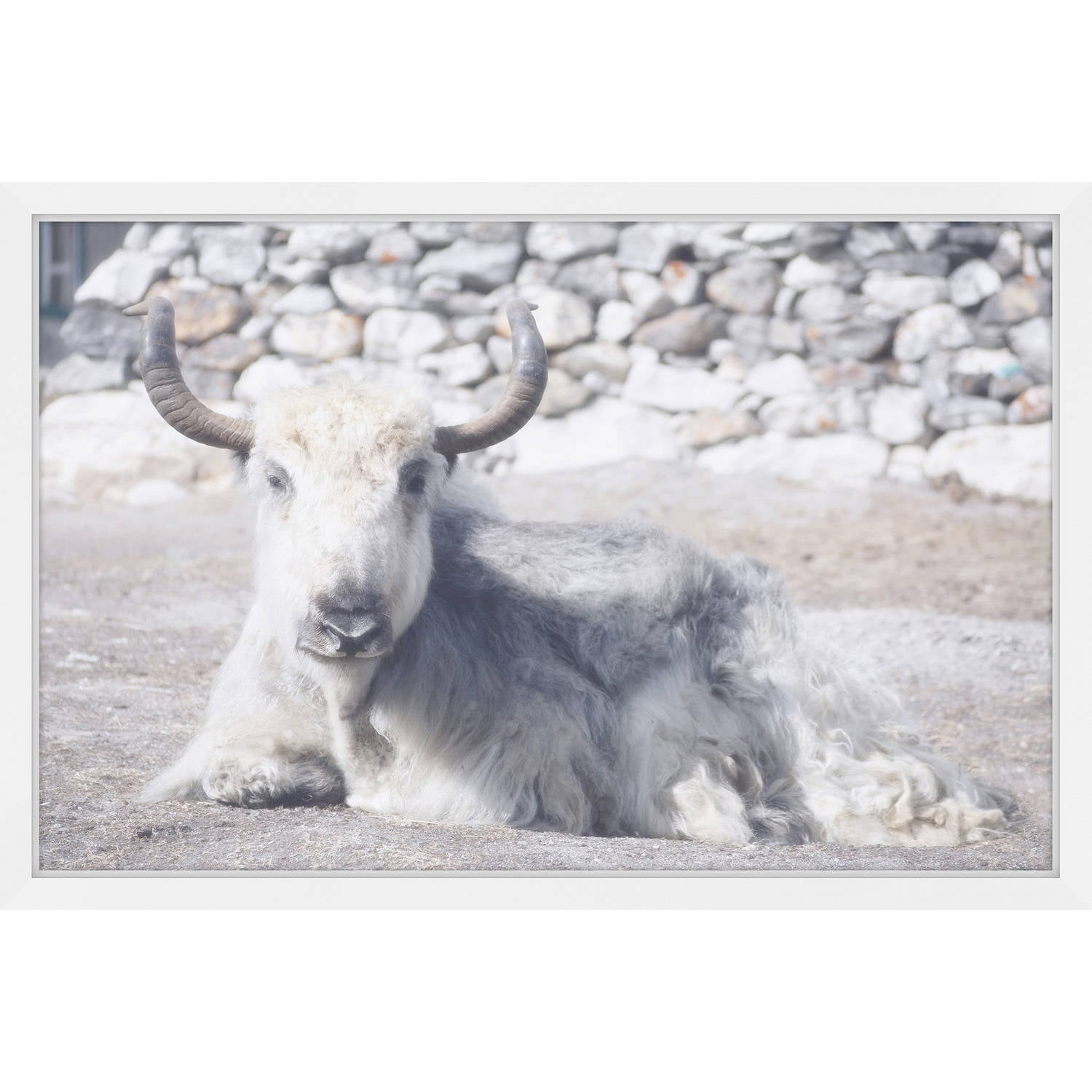 Marmont Hill "Laying Still" Framed Painting Print