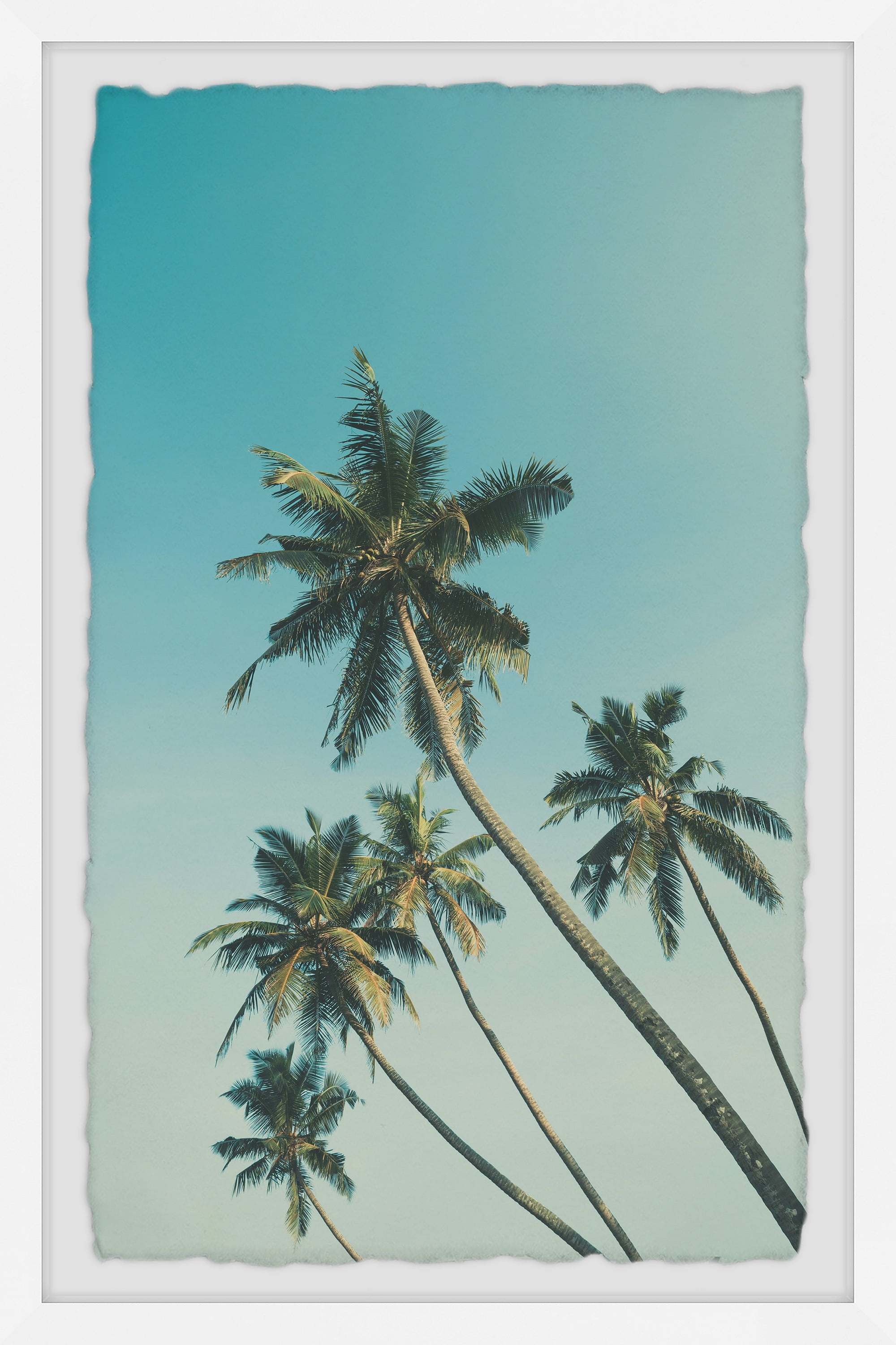 Large White Framed Tropical Palm Trees Print
