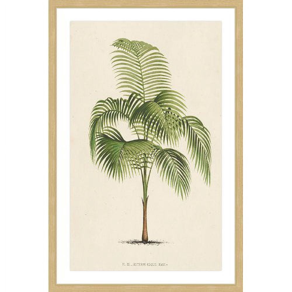 Marmont Hill "Les Palmiers I" Framed Painting Print
