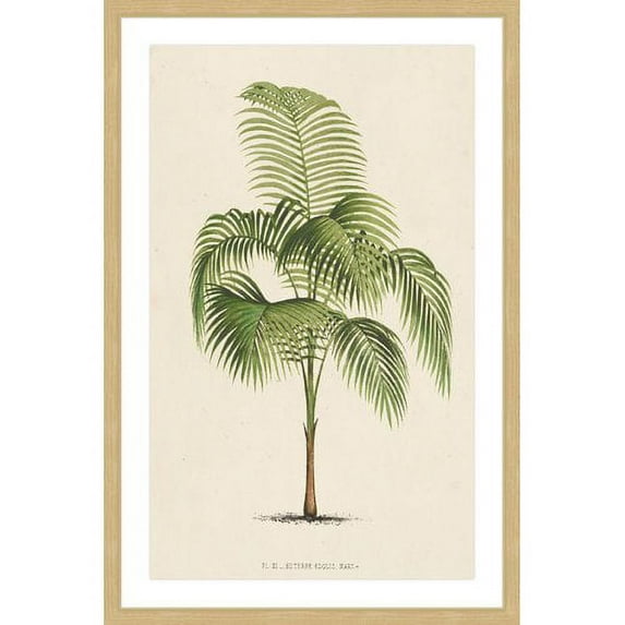 Marmont Hill "Les Palmiers I" Framed Painting Print