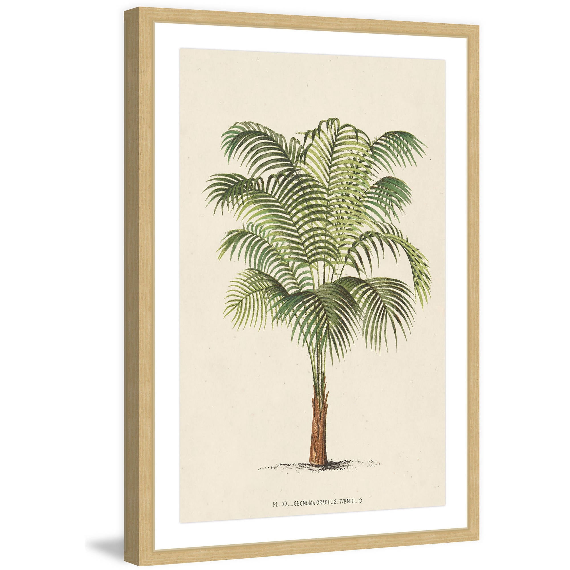 Marmont Hill "Les Palmiers II" Framed Painting Print